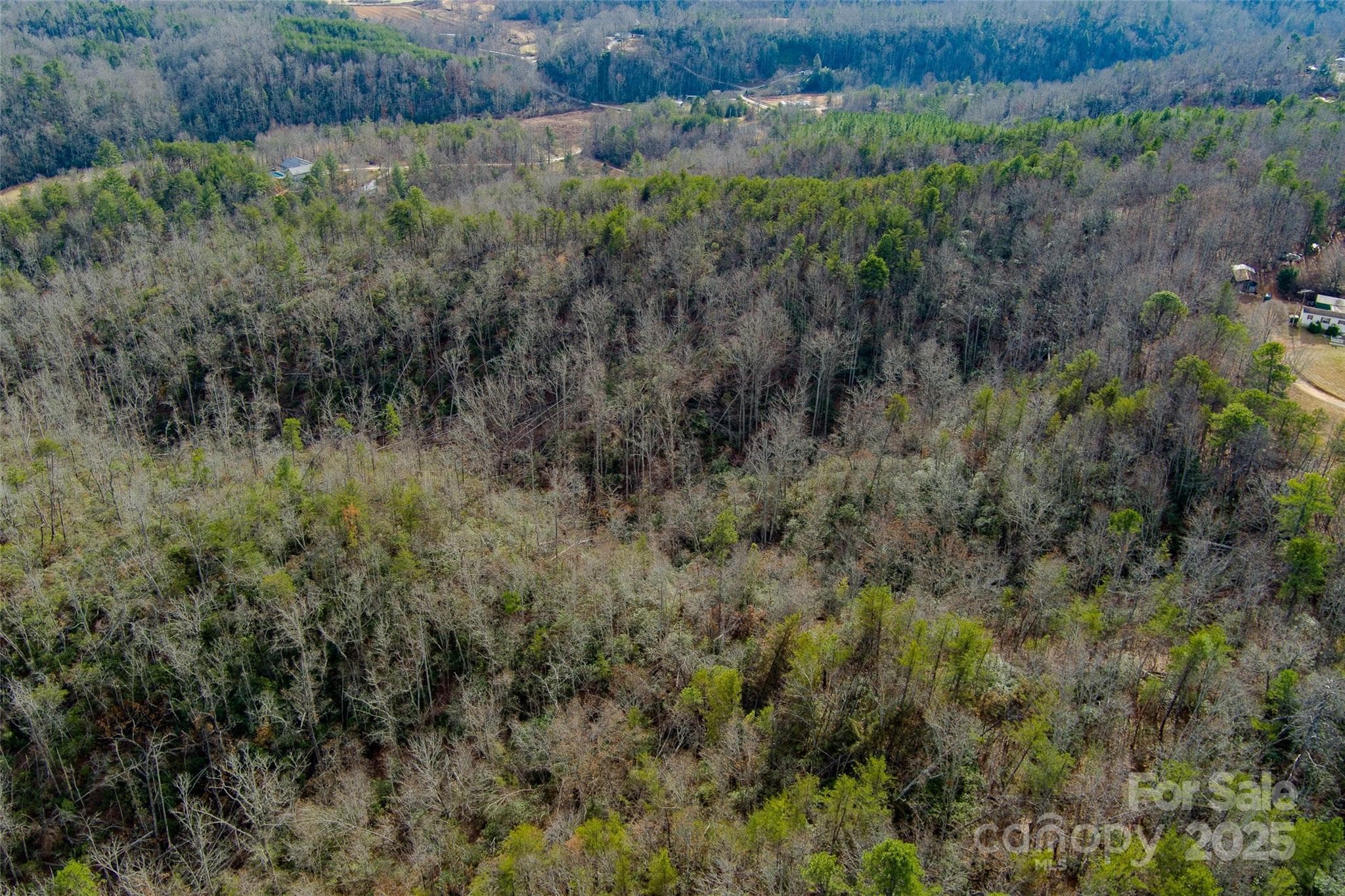 Lot at Old Fort, photo 19 of 23