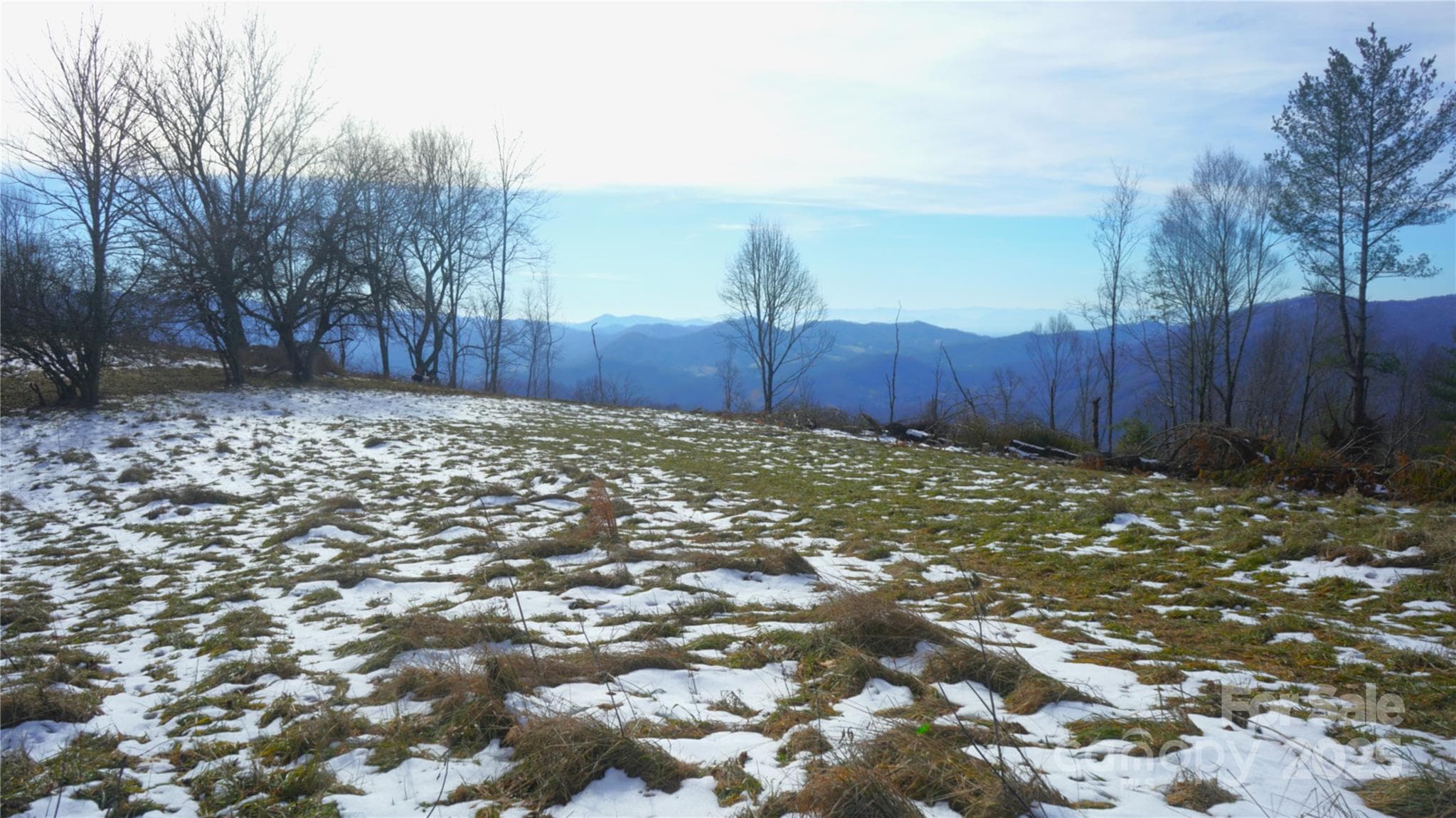 Flat eastern meadow, near property top looking SW - Burnsville