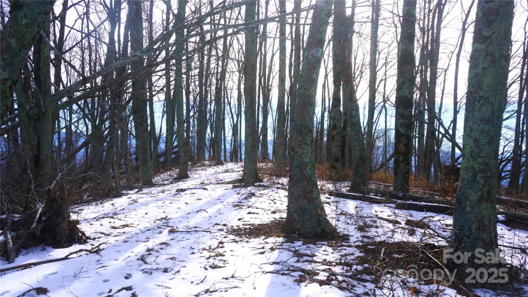 Highest elevation, flat wooded property top - Burnsville