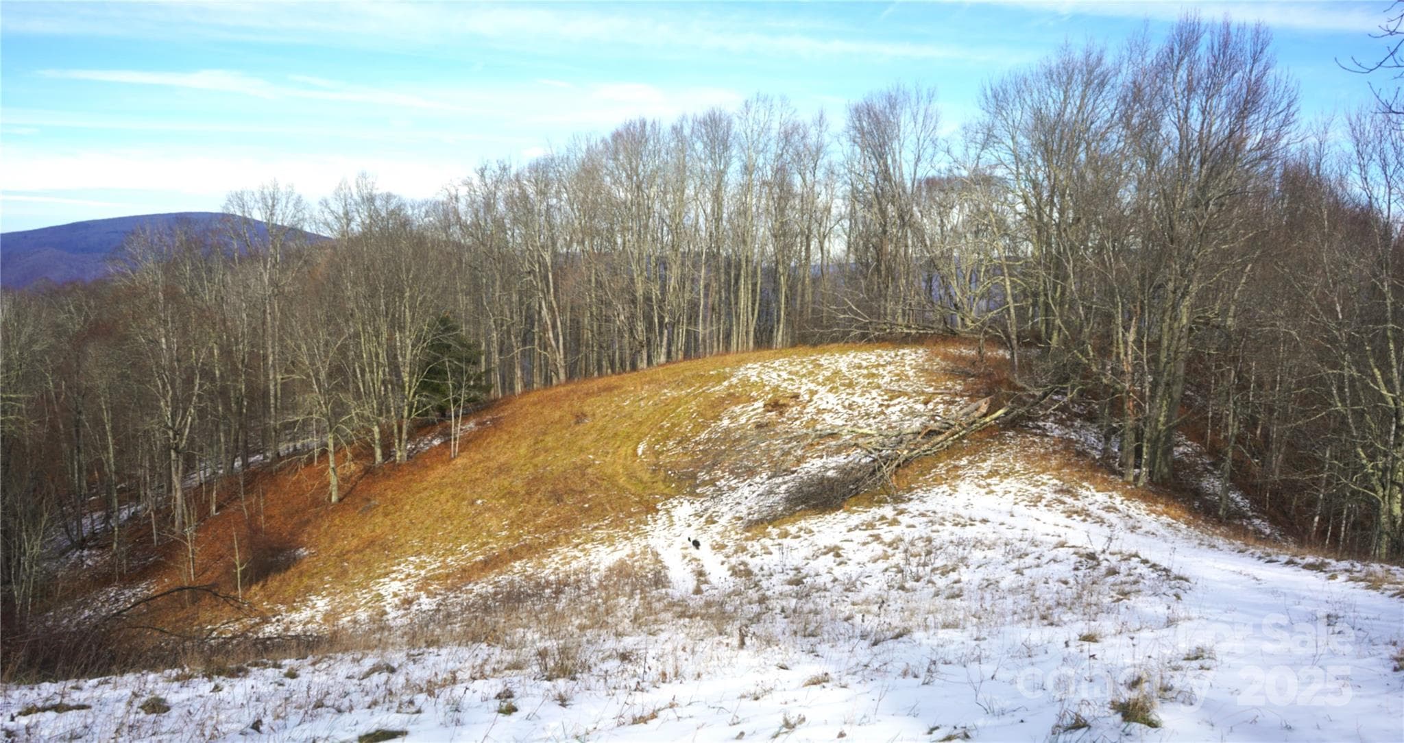 West view,from meadow property top - Burnsville