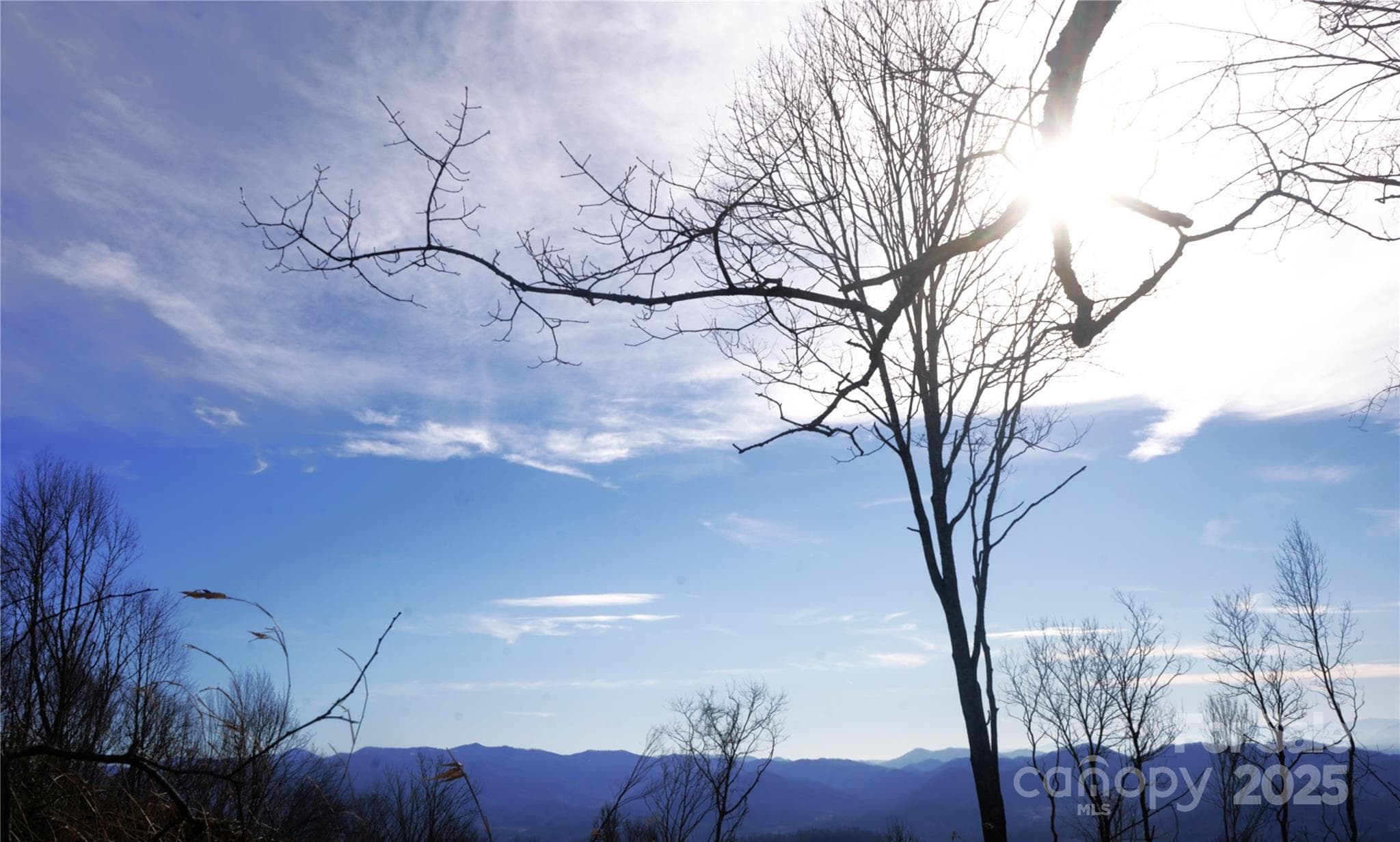 Winter sun, long range  views, mtn top meadow - Burnsville