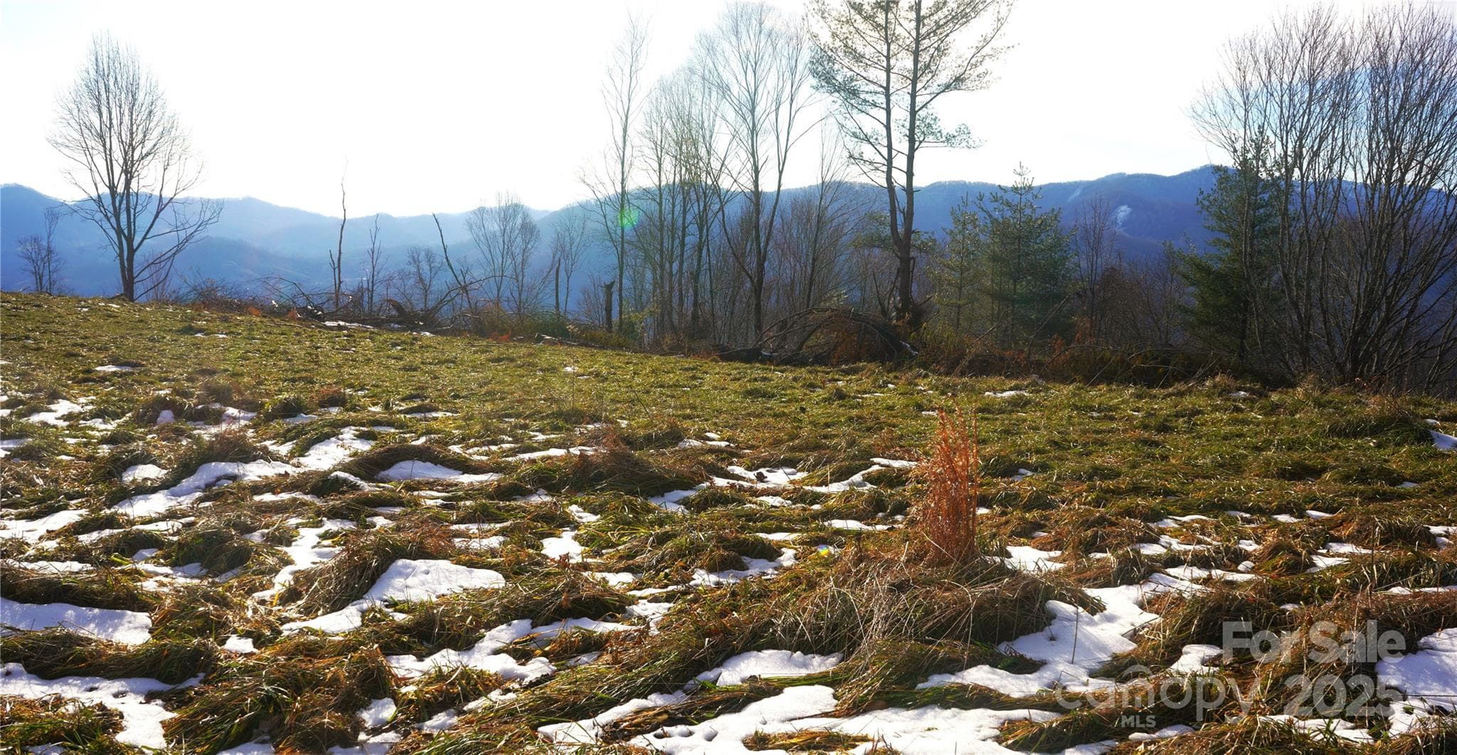 Flat east meadow near top, view to SW - Burnsville