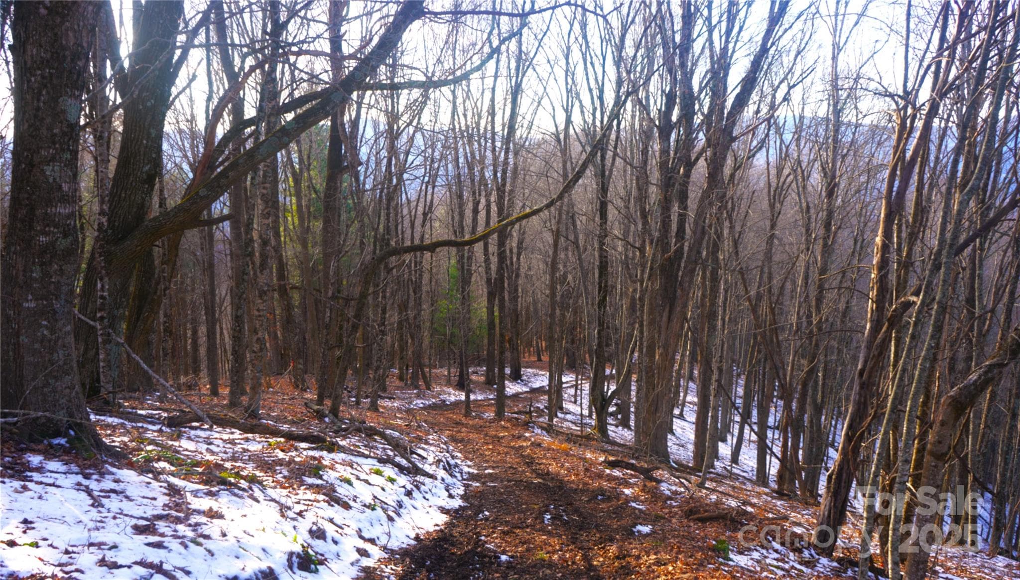 4WD road along ridge top in middle of property - Burnsville
