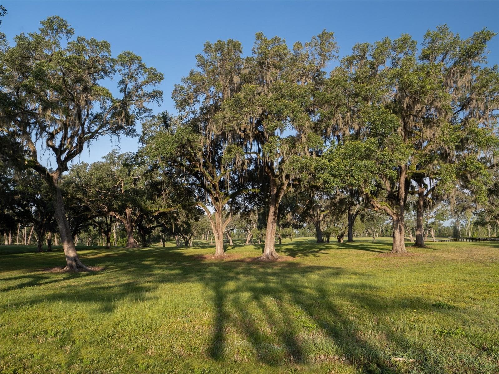 Land at 11771 NW 50TH LANE RD, OCALA, photo 6 of 6
