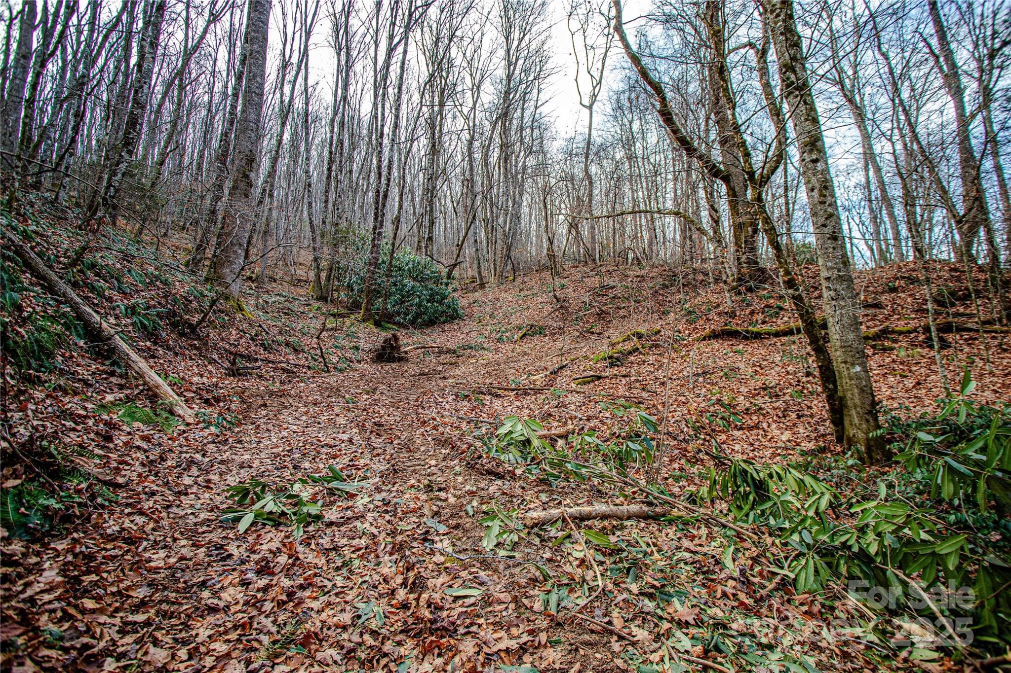 Acreage at TBD Tannassee Creek Road, Tuckasegee, photo 25 of 64