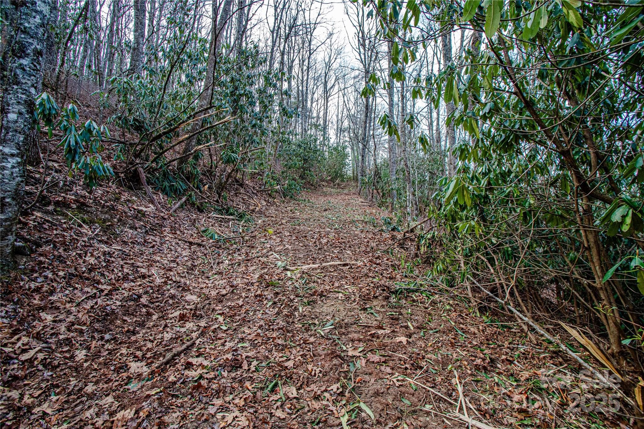 Acreage at TBD Tannassee Creek Road, Tuckasegee, photo 31 of 64
