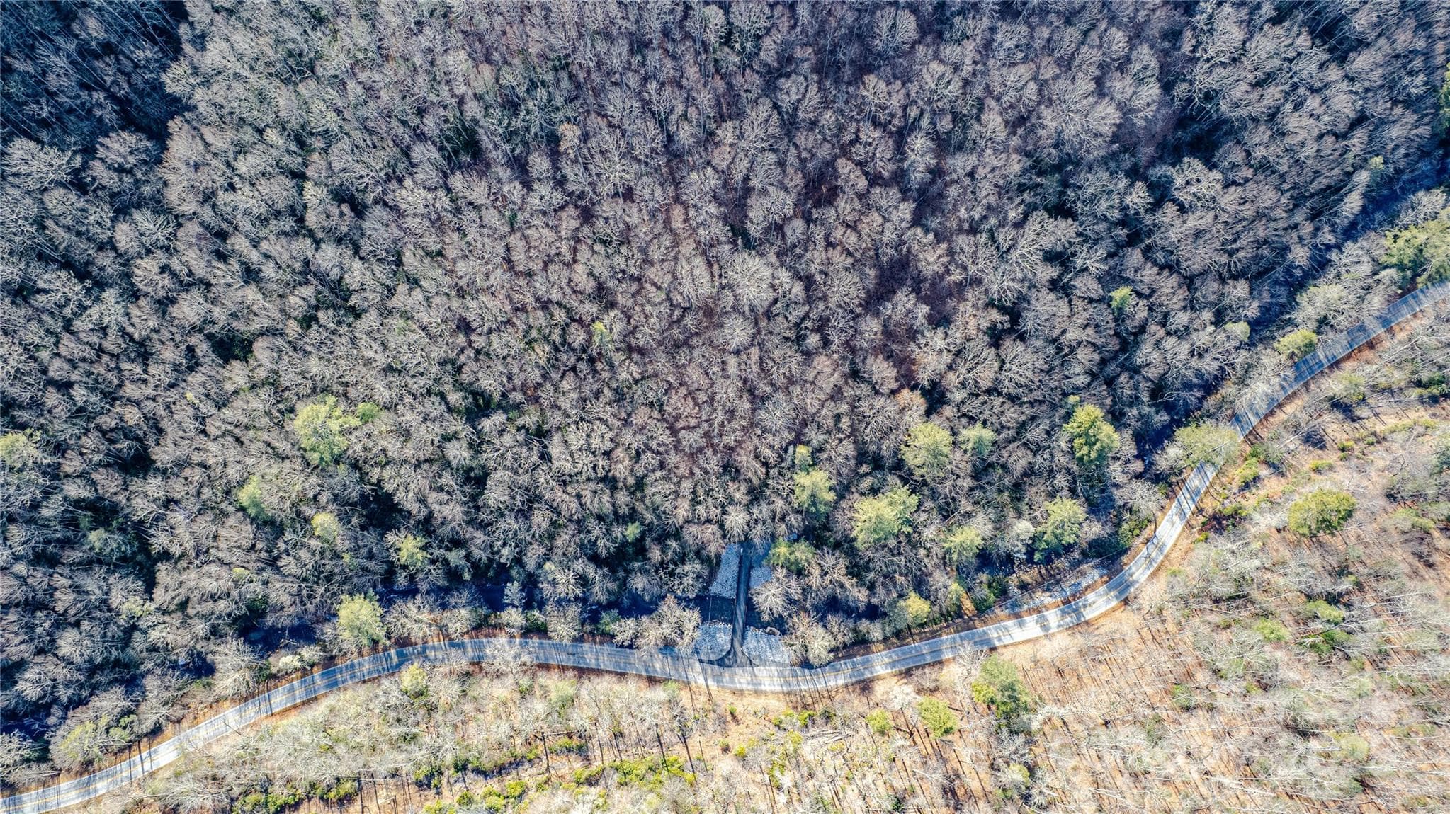 Acreage at TBD Tannassee Creek Road, Tuckasegee, photo 33 of 64