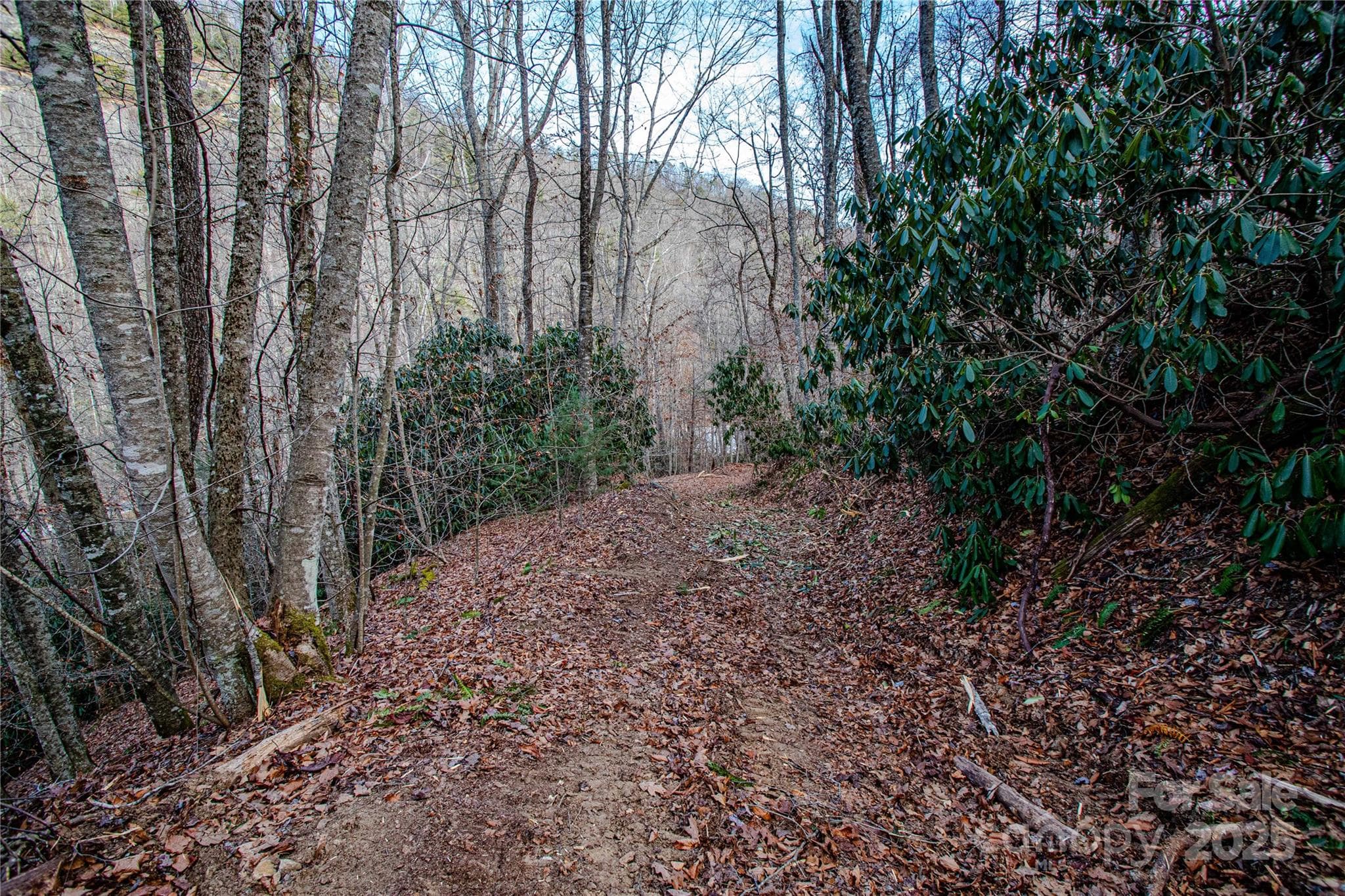 Acreage at TBD Tannassee Creek Road, Tuckasegee, photo 53 of 64