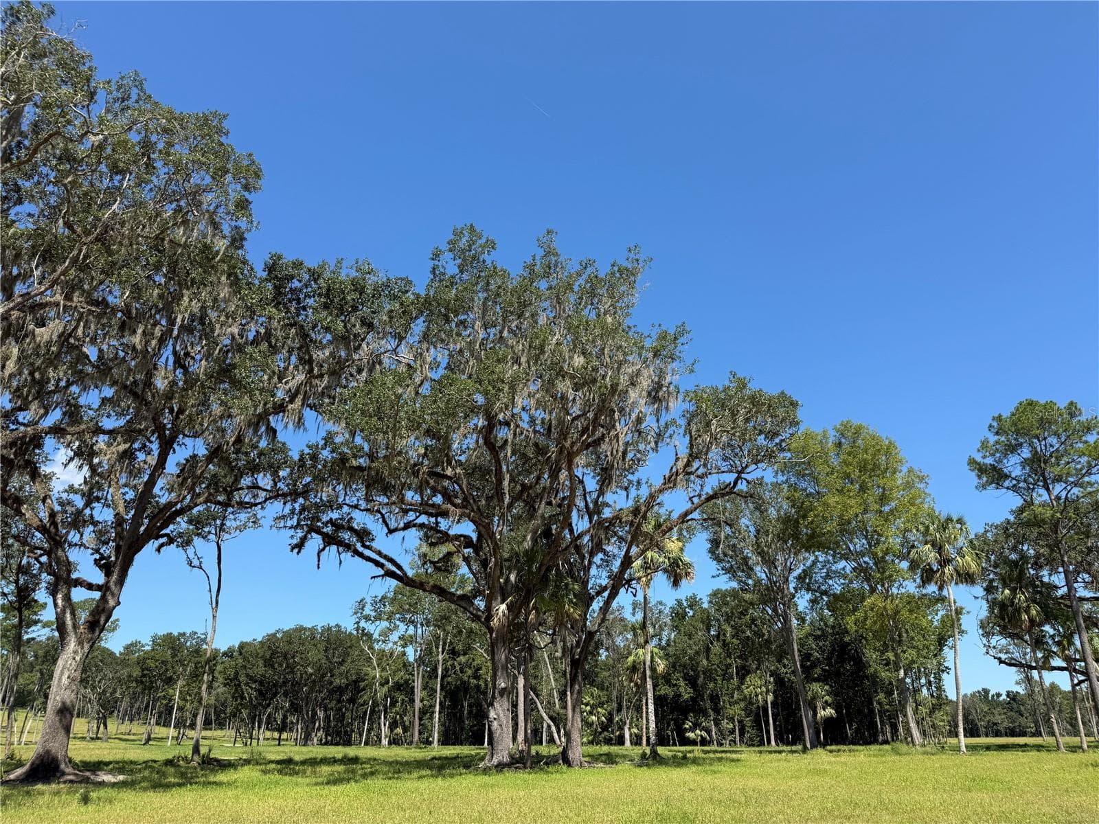 Land at DO #6 (24ac) NW 193RD ST, MICANOPY, photo 4 of 11
