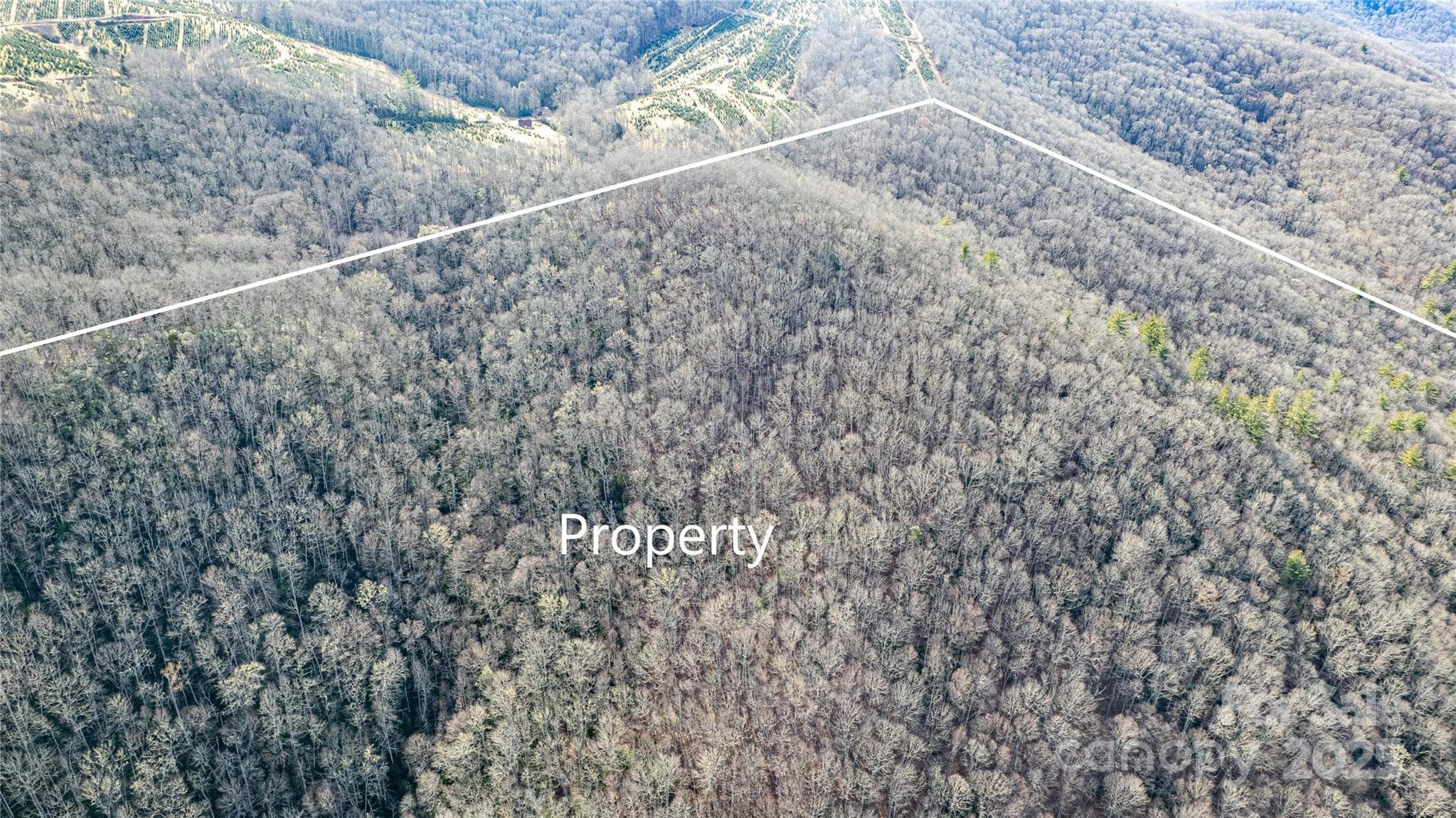 Acreage at TBD Tannassee Creek Road, Tuckasegee, photo 35 of 64