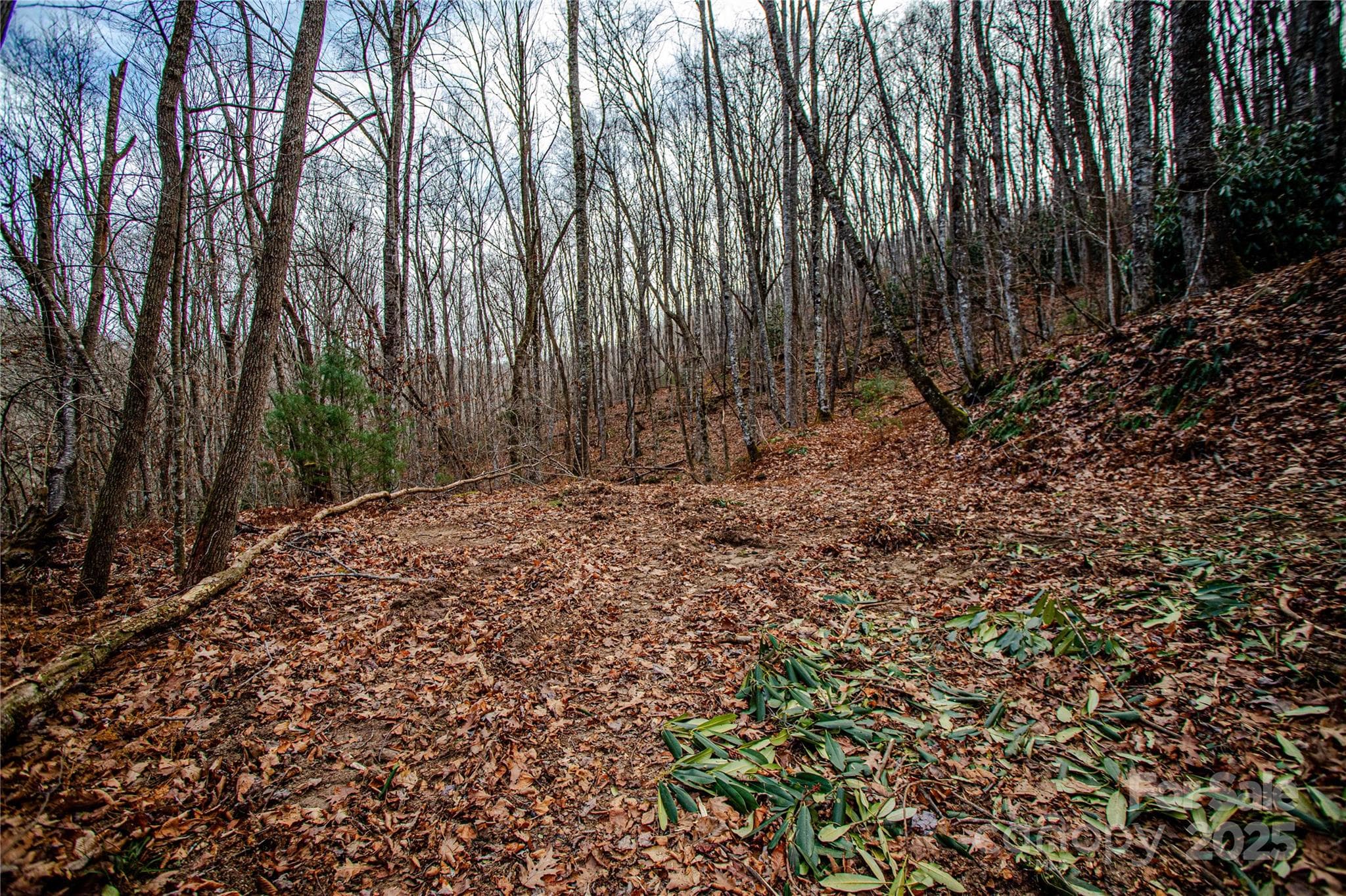 Acreage at TBD Tannassee Creek Road, Tuckasegee, photo 41 of 64