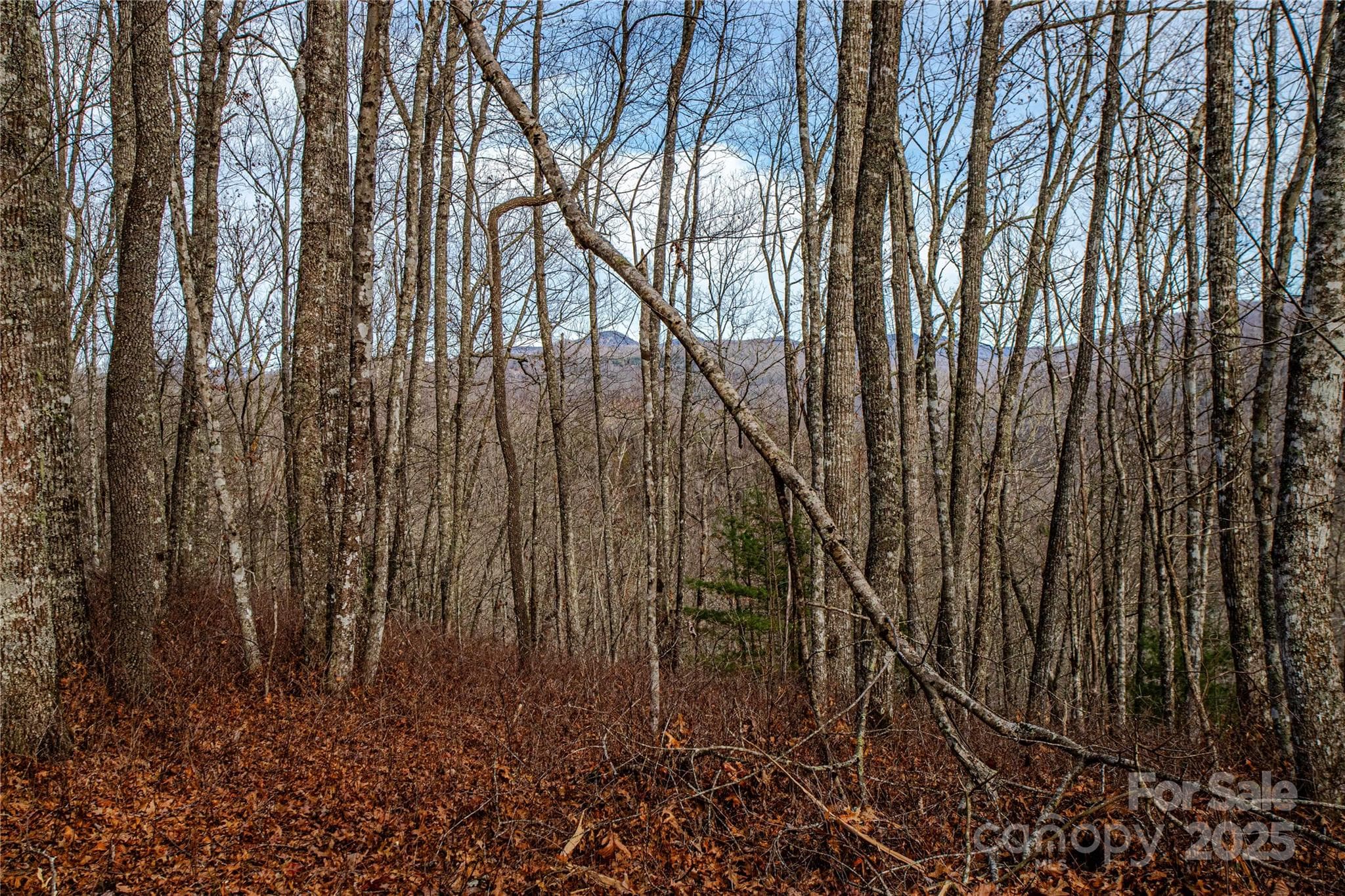 Acreage at TBD Tannassee Creek Road, Tuckasegee, photo 47 of 64
