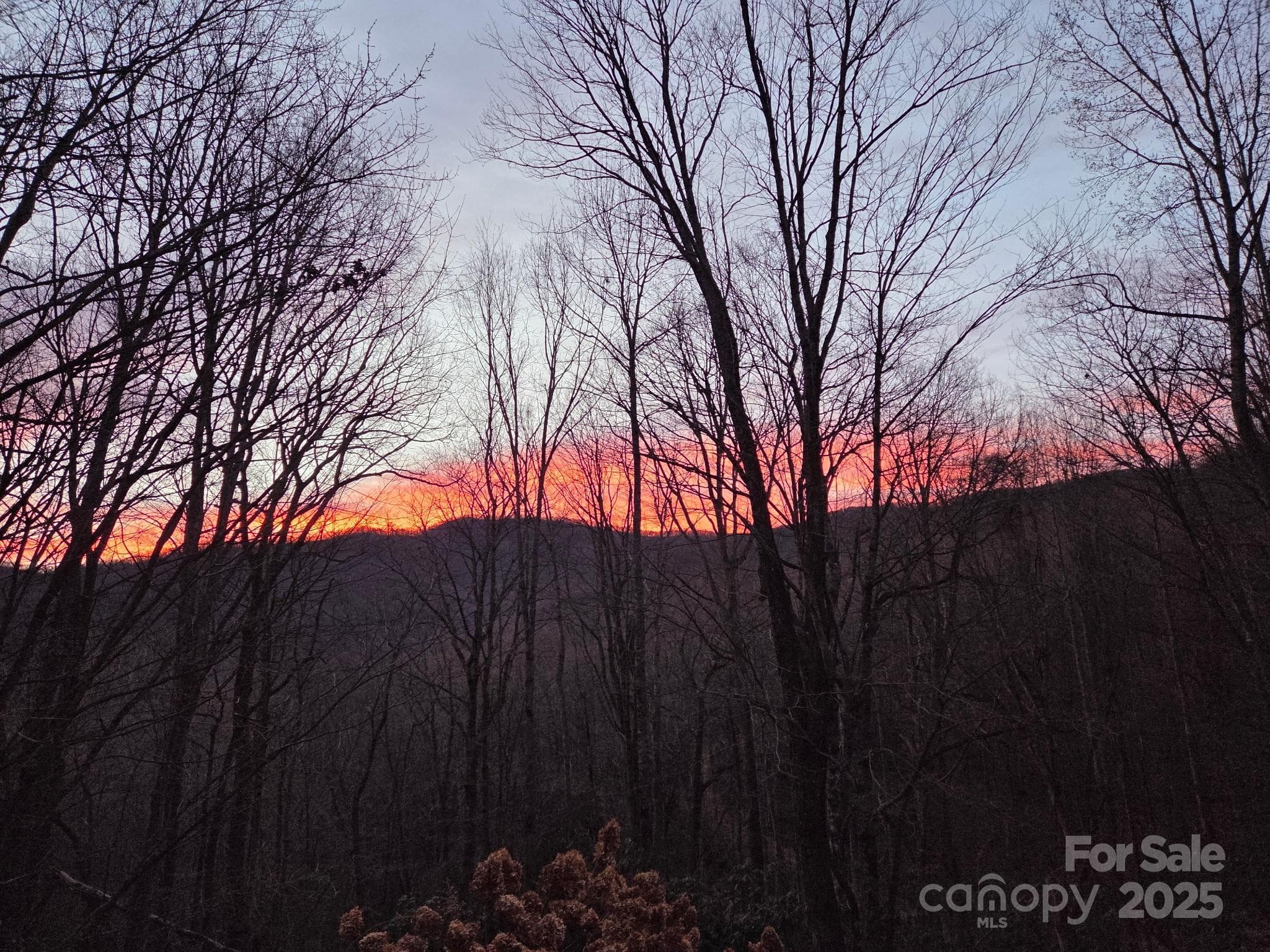 Sunrise over BR Parkway. - 50 Firefly Springs Lane, Candler