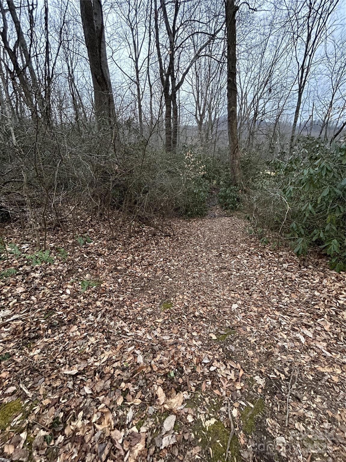 Acreage at 000 Lytle Cove Road, Swannanoa, photo 7 of 35