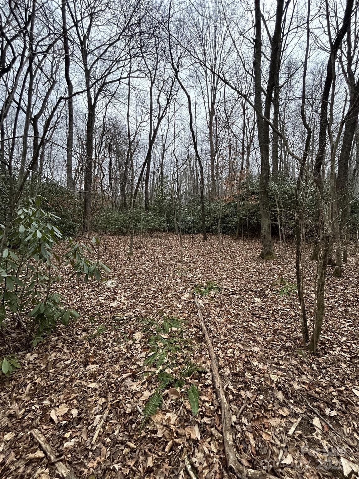 Acreage at 000 Lytle Cove Road, Swannanoa, photo 8 of 35