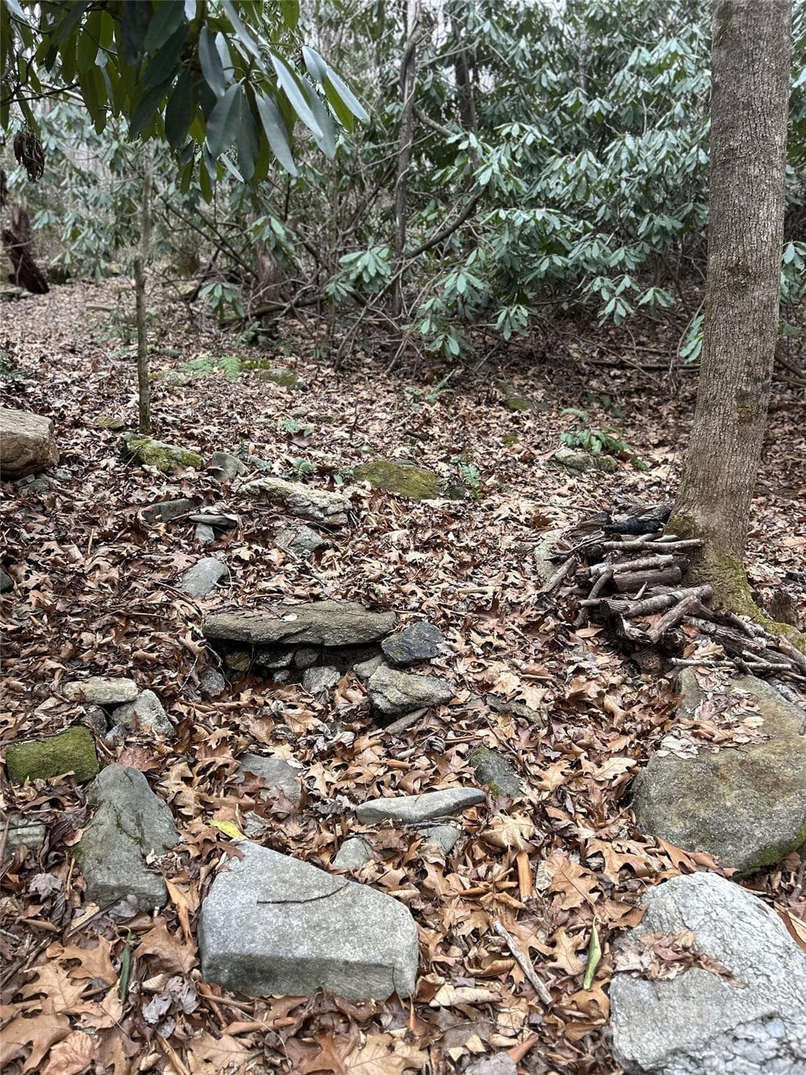 Acreage at 000 Lytle Cove Road, Swannanoa, photo 10 of 35