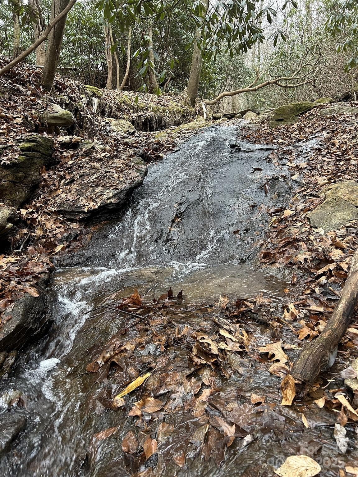 Acreage at 000 Lytle Cove Road, Swannanoa, photo 11 of 35
