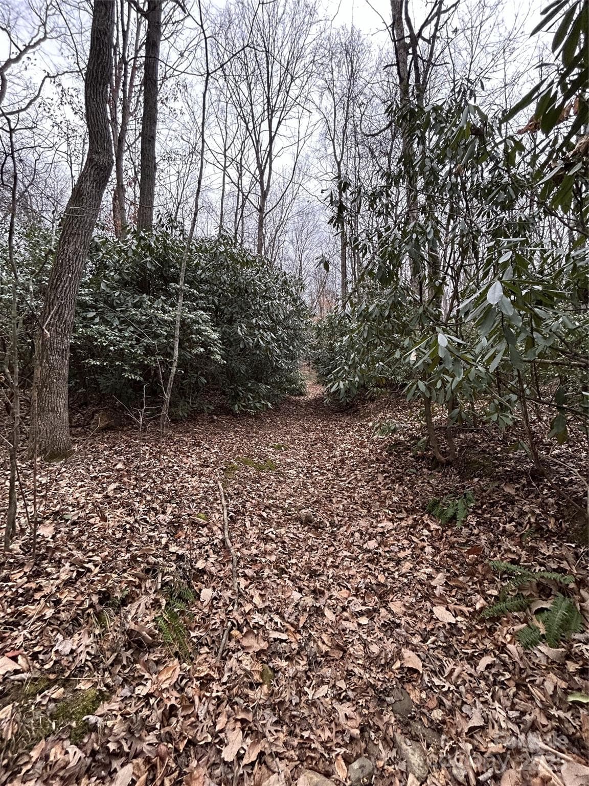 Acreage at 000 Lytle Cove Road, Swannanoa, photo 13 of 35