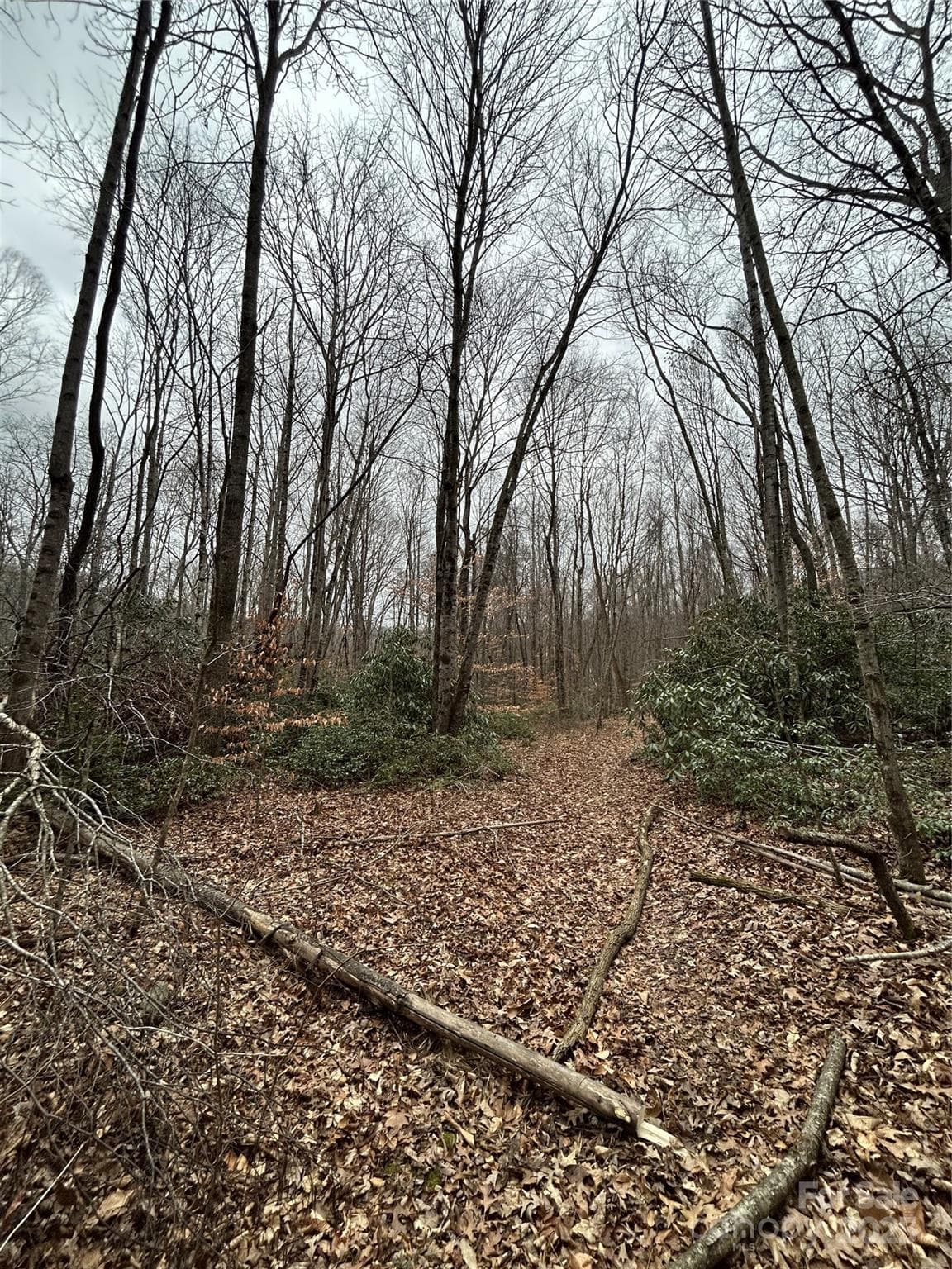Acreage at 000 Lytle Cove Road, Swannanoa, photo 14 of 35