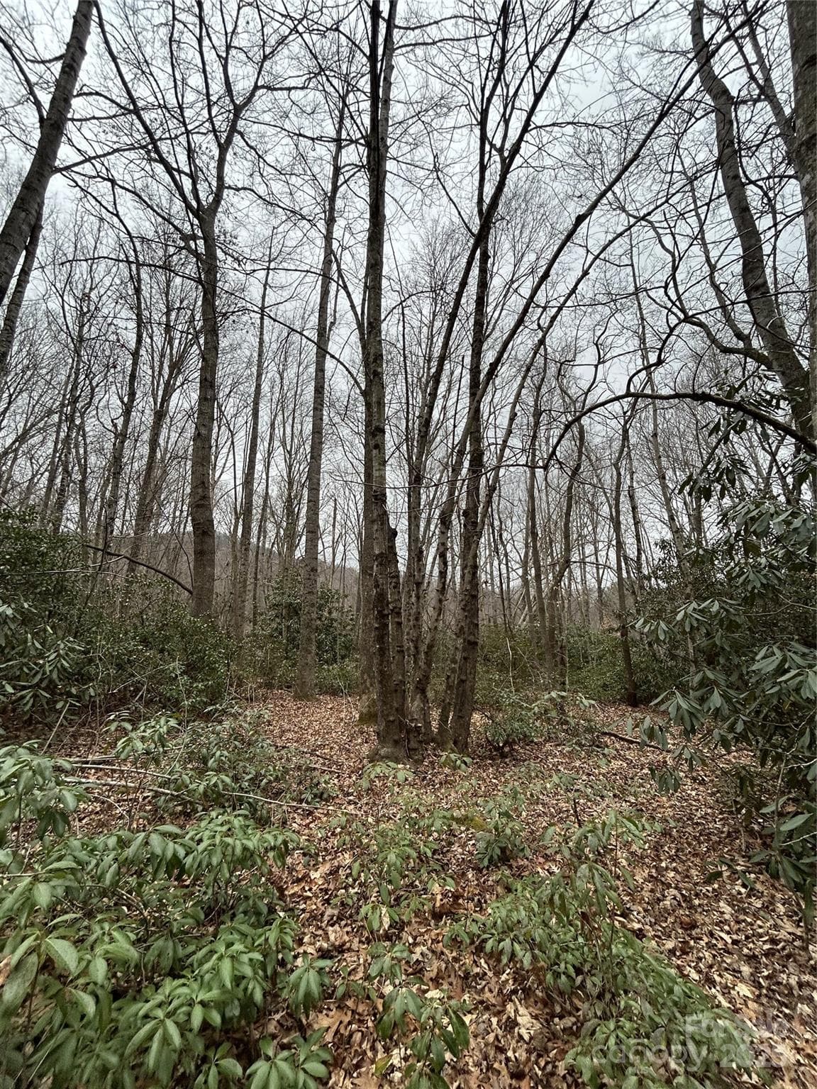 Acreage at 000 Lytle Cove Road, Swannanoa, photo 15 of 35