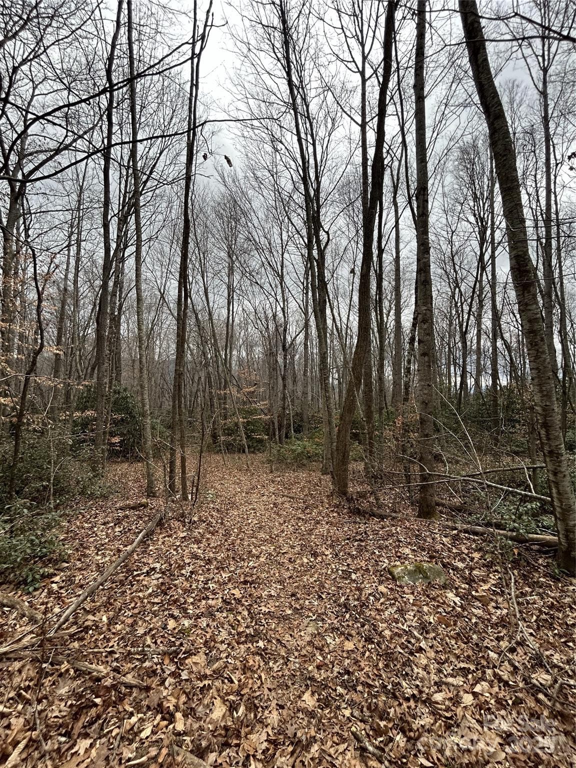 Acreage at 000 Lytle Cove Road, Swannanoa, photo 18 of 35