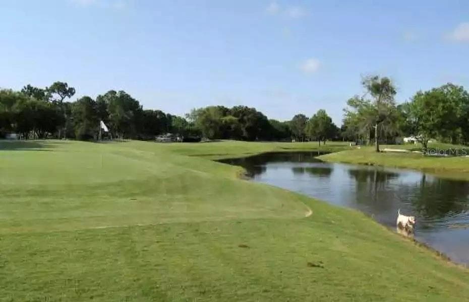 Land at 3601 MIDIRON DR, WINTER PARK, photo 4 of 7