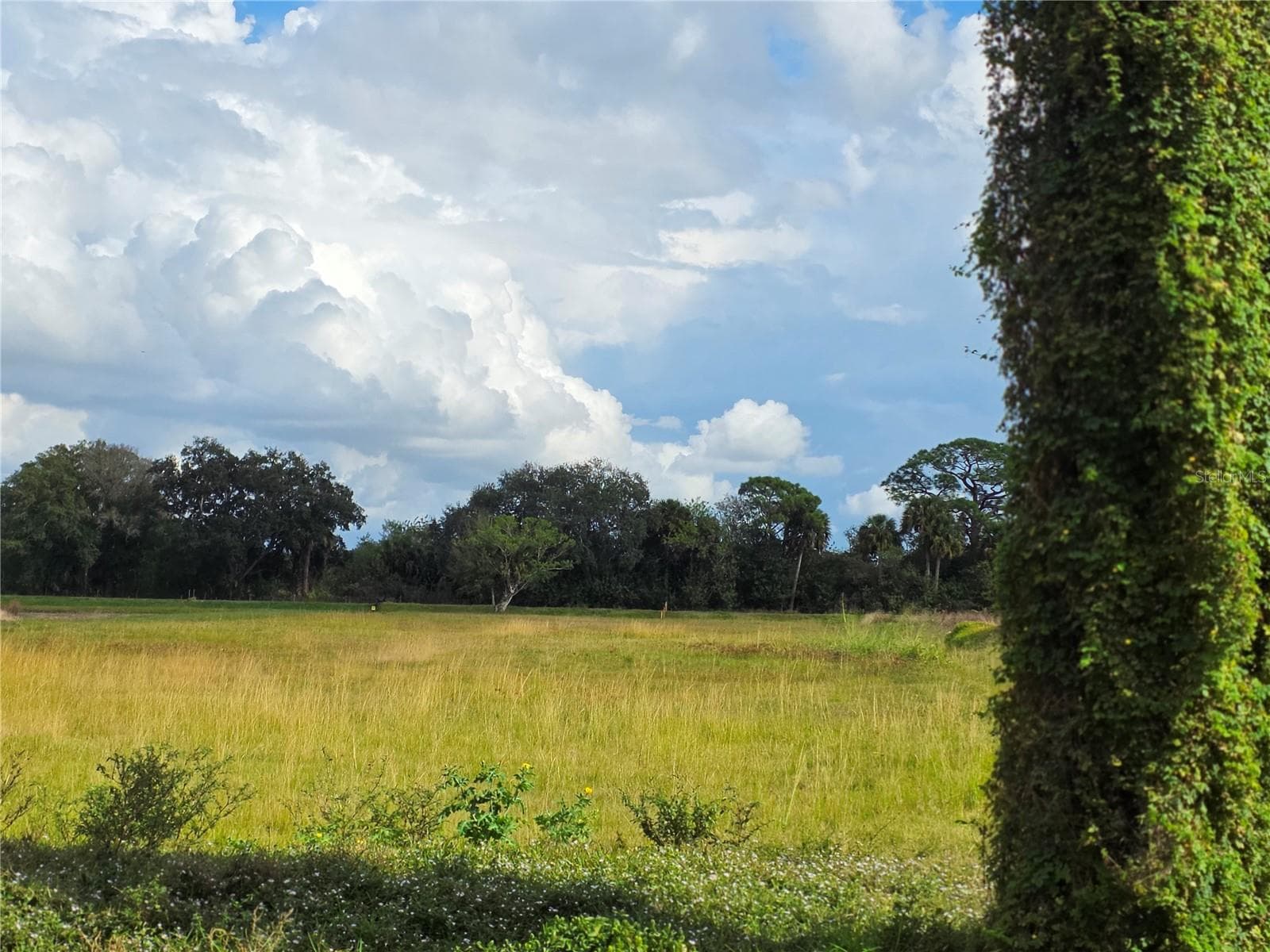 Land at 1132 NE 48TH AVE, OKEECHOBEE, photo 6 of 16