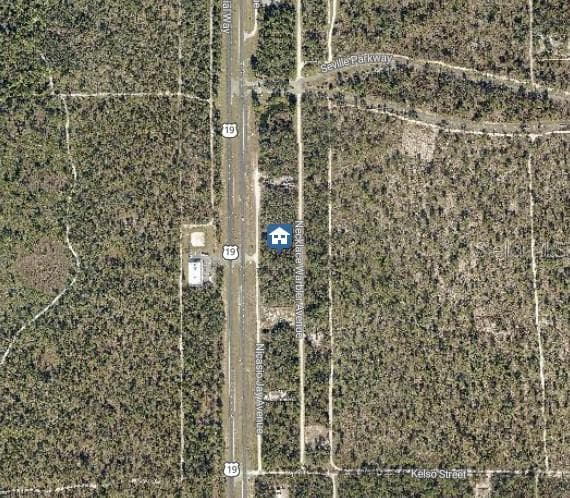 Land at LOT 14 NECKLACE WARBLER, WEEKI WACHEE, photo 3 of 4