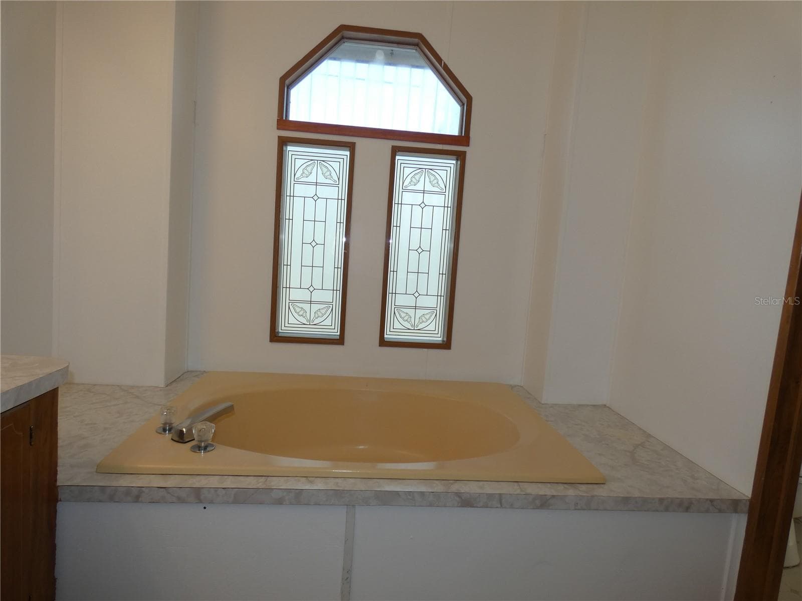 Oversized tub in primary bathroom. - 6814 GULL LN, HUDSON