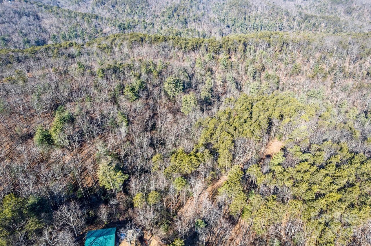 Acreage at 0 SASSAFRAS Lane, Connelly Springs, photo 3 of 12