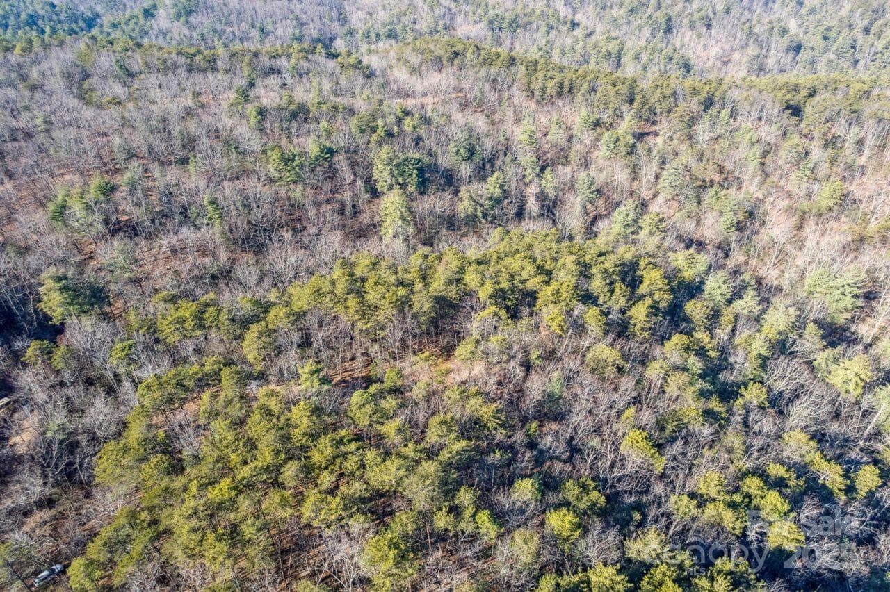 Acreage at 0 SASSAFRAS Lane, Connelly Springs, photo 4 of 12