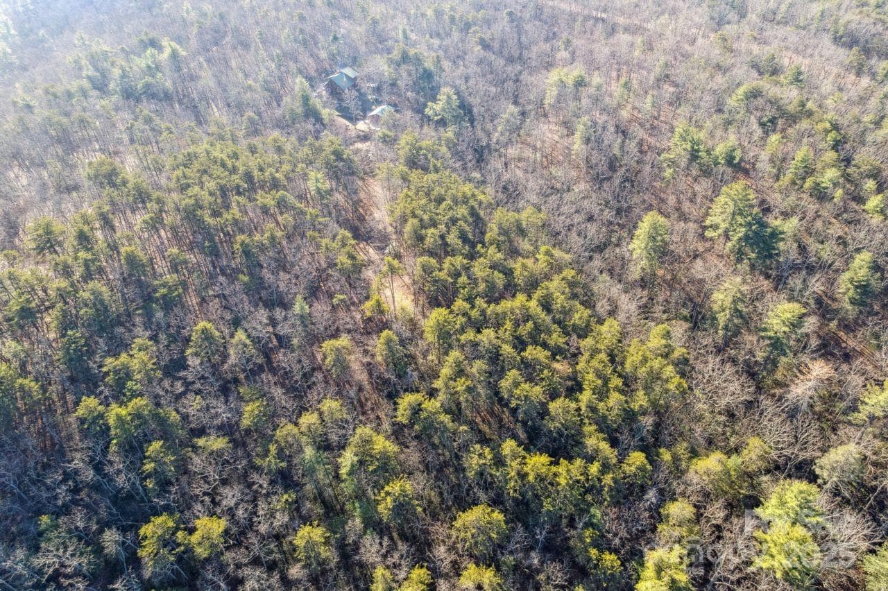 Acreage at 0 SASSAFRAS Lane, Connelly Springs, photo 6 of 12