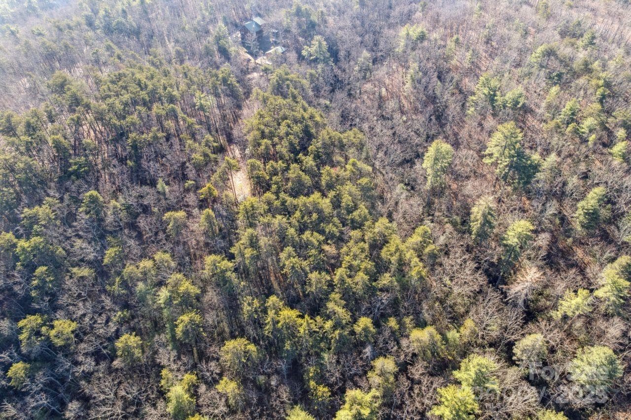 Acreage at 0 SASSAFRAS Lane, Connelly Springs, photo 7 of 12