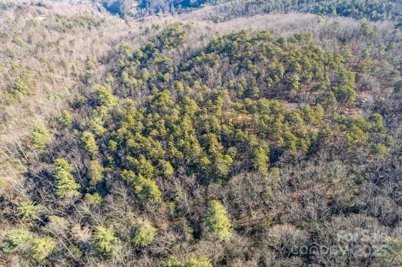Acreage at 0 SASSAFRAS Lane, Connelly Springs, photo 9 of 12