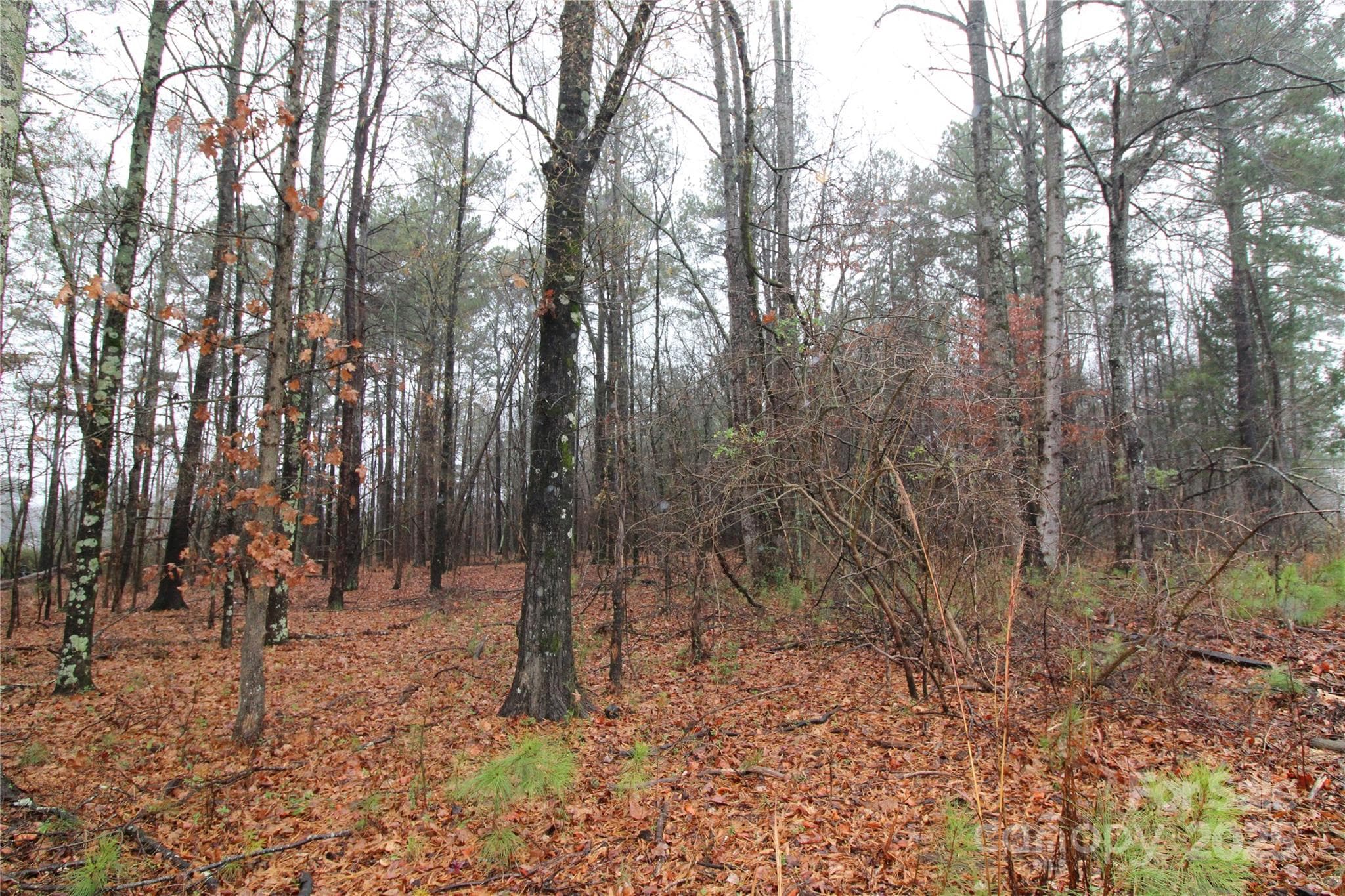 Lot at 8.94+/-AC Bess Road, Bessemer City, photo 2 of 4