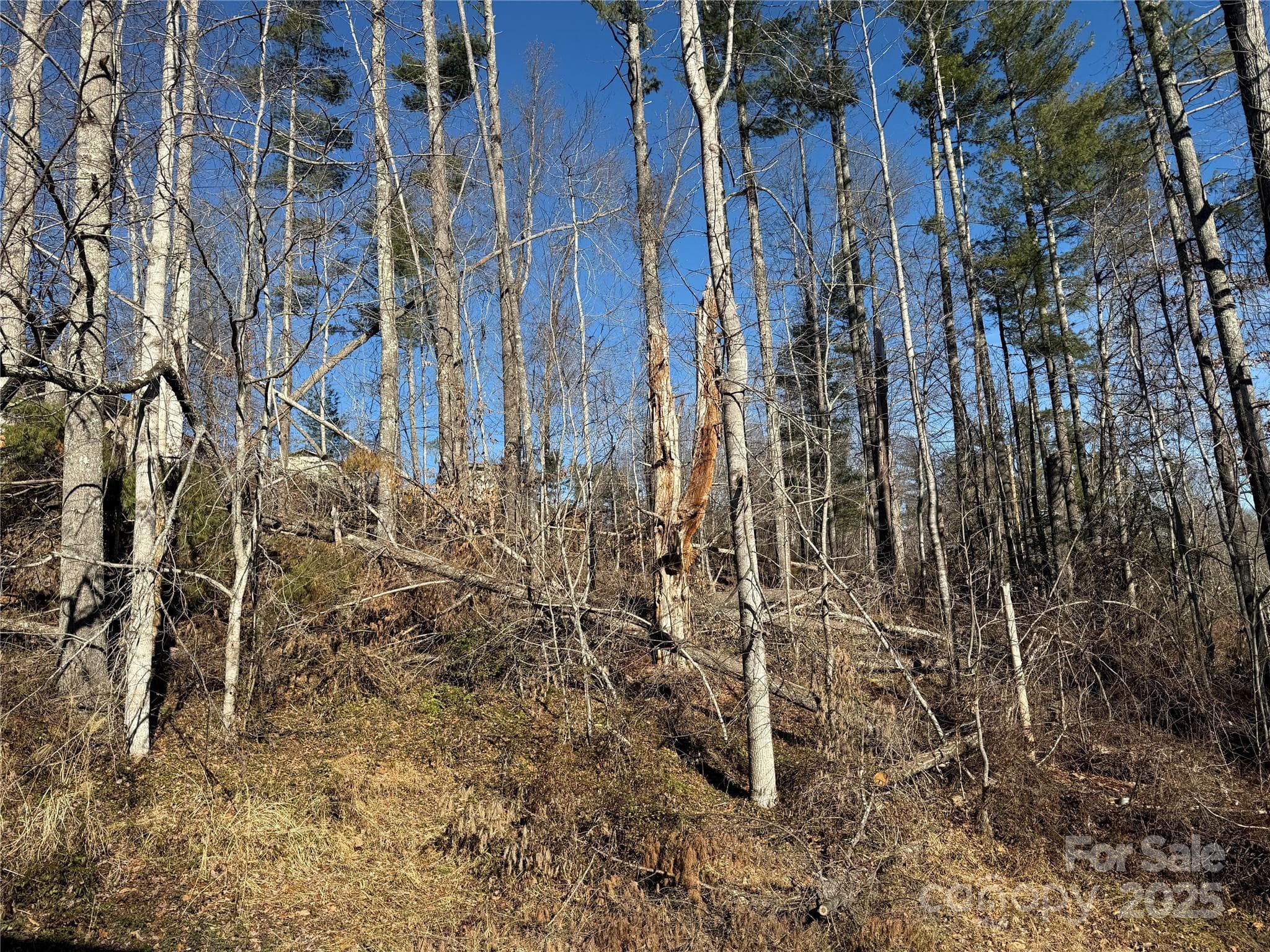 Acreage at TBD George McKinney Circle, Spruce Pine, photo 7 of 10