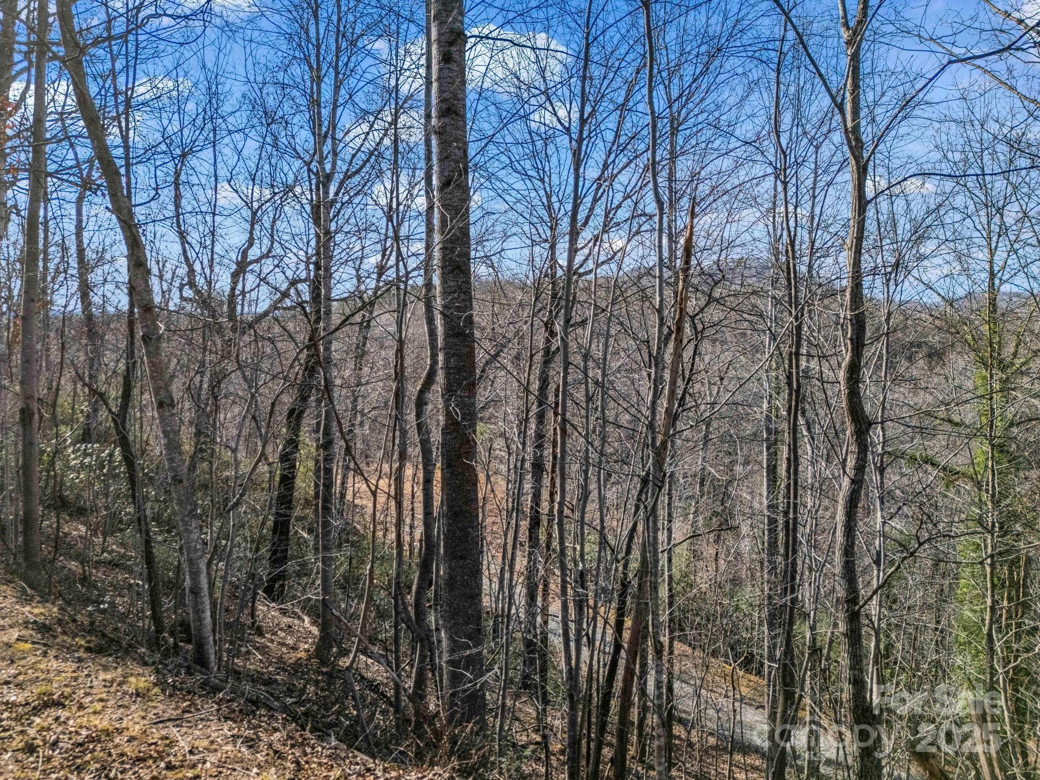 Lot at 0000 Holmes Road, Lake Lure, photo 6 of 31