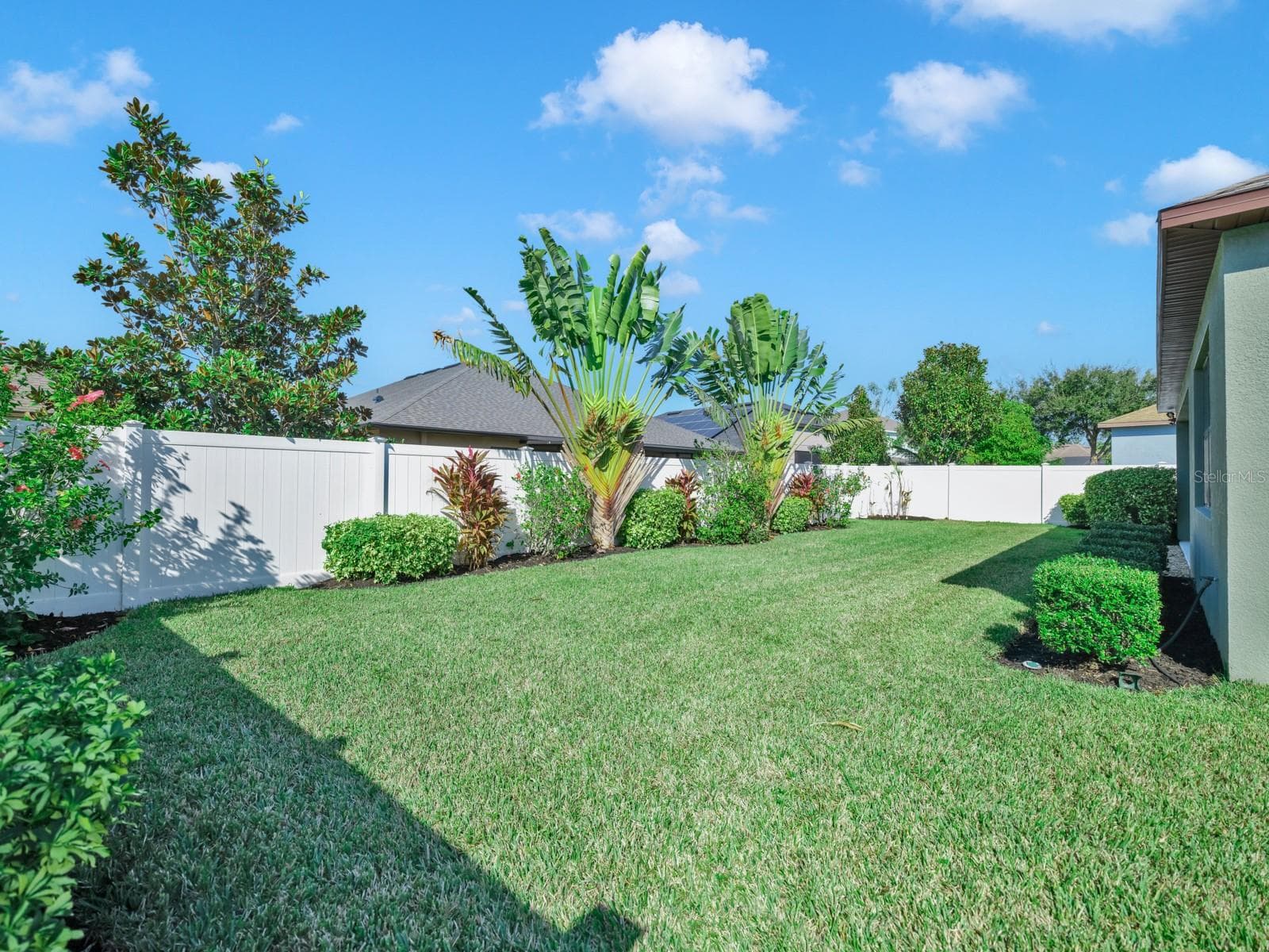 Backyard - 7109 SPINDLE TREE LN, RIVERVIEW