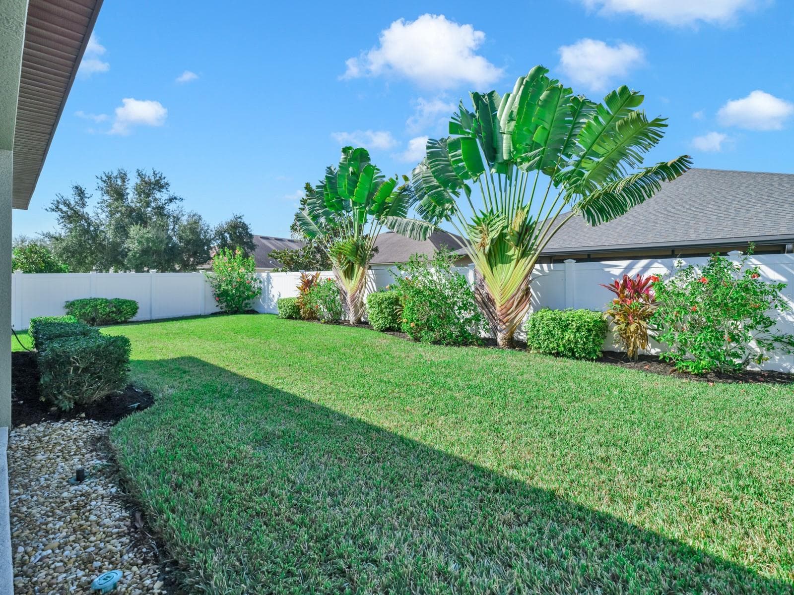 Backyard - 7109 SPINDLE TREE LN, RIVERVIEW