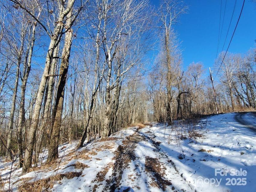 Acreage at TBD Henredon Road, Spruce Pine, photo 2 of 10