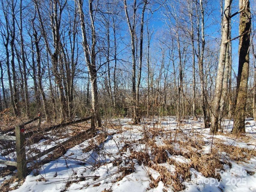 Acreage at TBD Henredon Road, Spruce Pine, photo 3 of 10