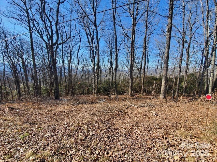 Acreage at TBD Henredon Road, Spruce Pine, photo 5 of 10