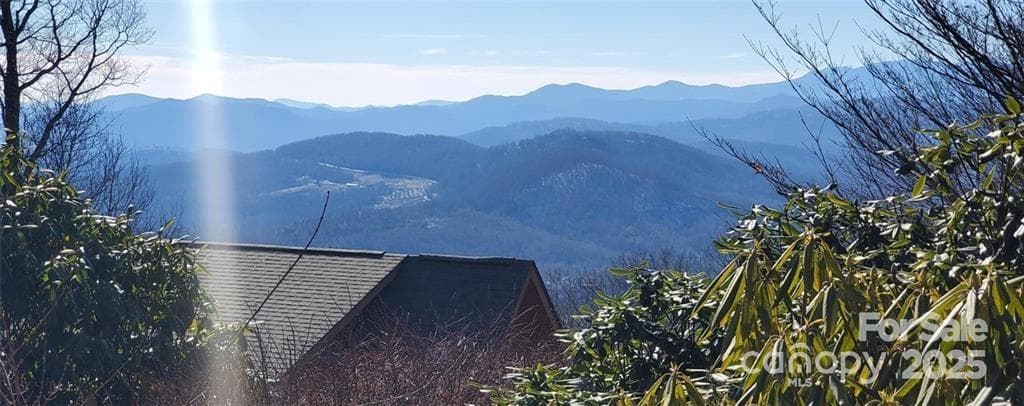 View from neighbors House - TBD Henredon Road, Spruce Pine