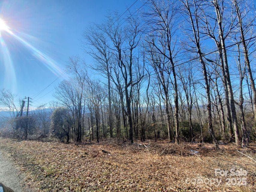 Acreage at TBD Henredon Road, Spruce Pine, photo 8 of 10