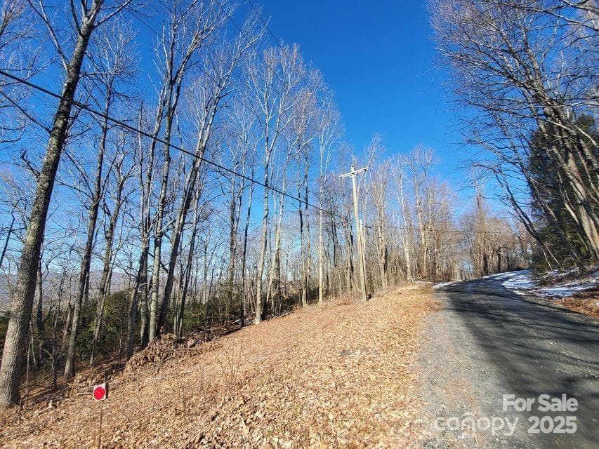 Acreage at TBD Henredon Road, Spruce Pine, photo 9 of 10