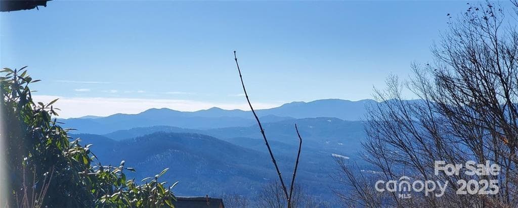 View from Neighbors House - TBD Henredon Road, Spruce Pine
