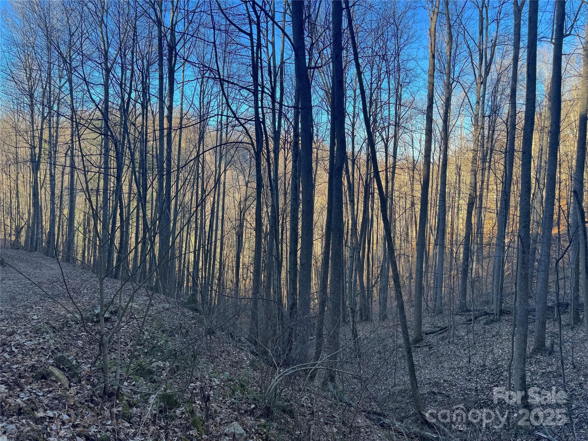 Acreage at Mars Hill, photo 9 of 21