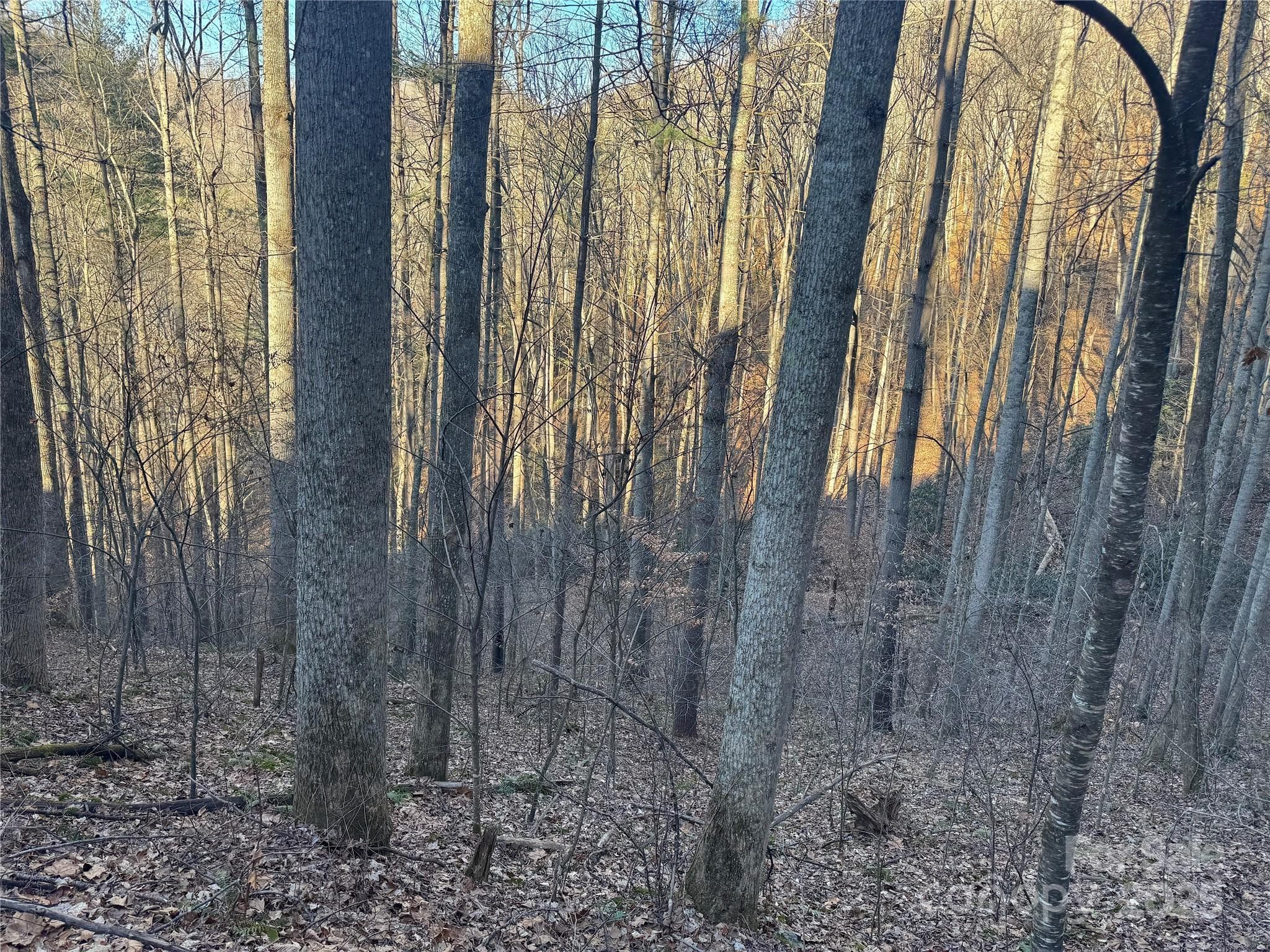 Acreage at Mars Hill, photo 13 of 21