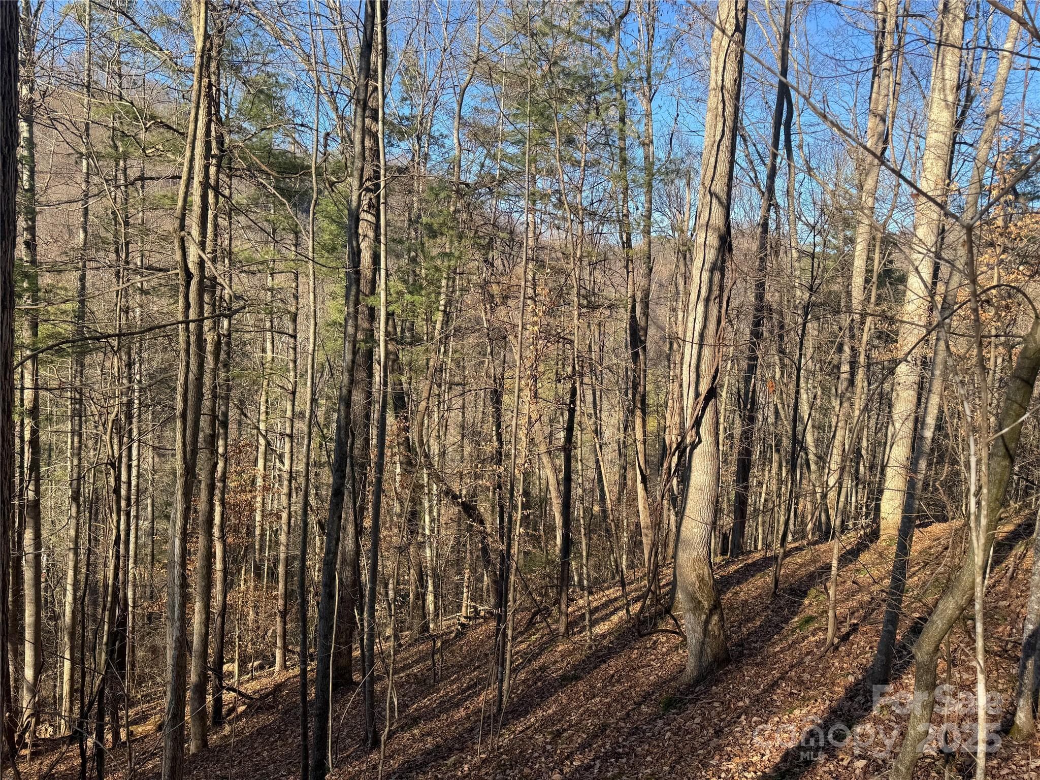 Acreage at Mars Hill, photo 4 of 21