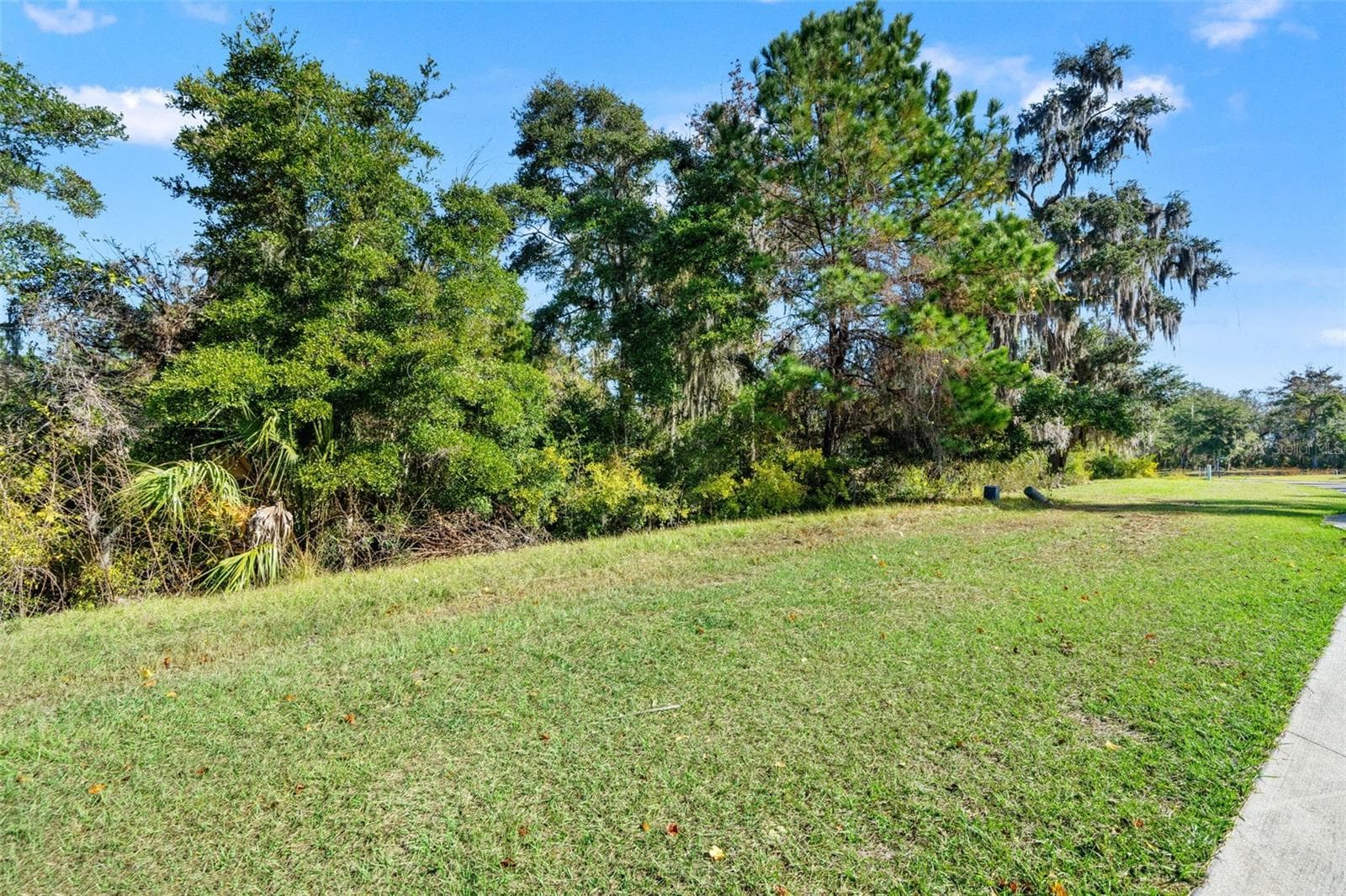 Land at 6633 SUMMIT VIEW DR, BROOKSVILLE, photo 8 of 16